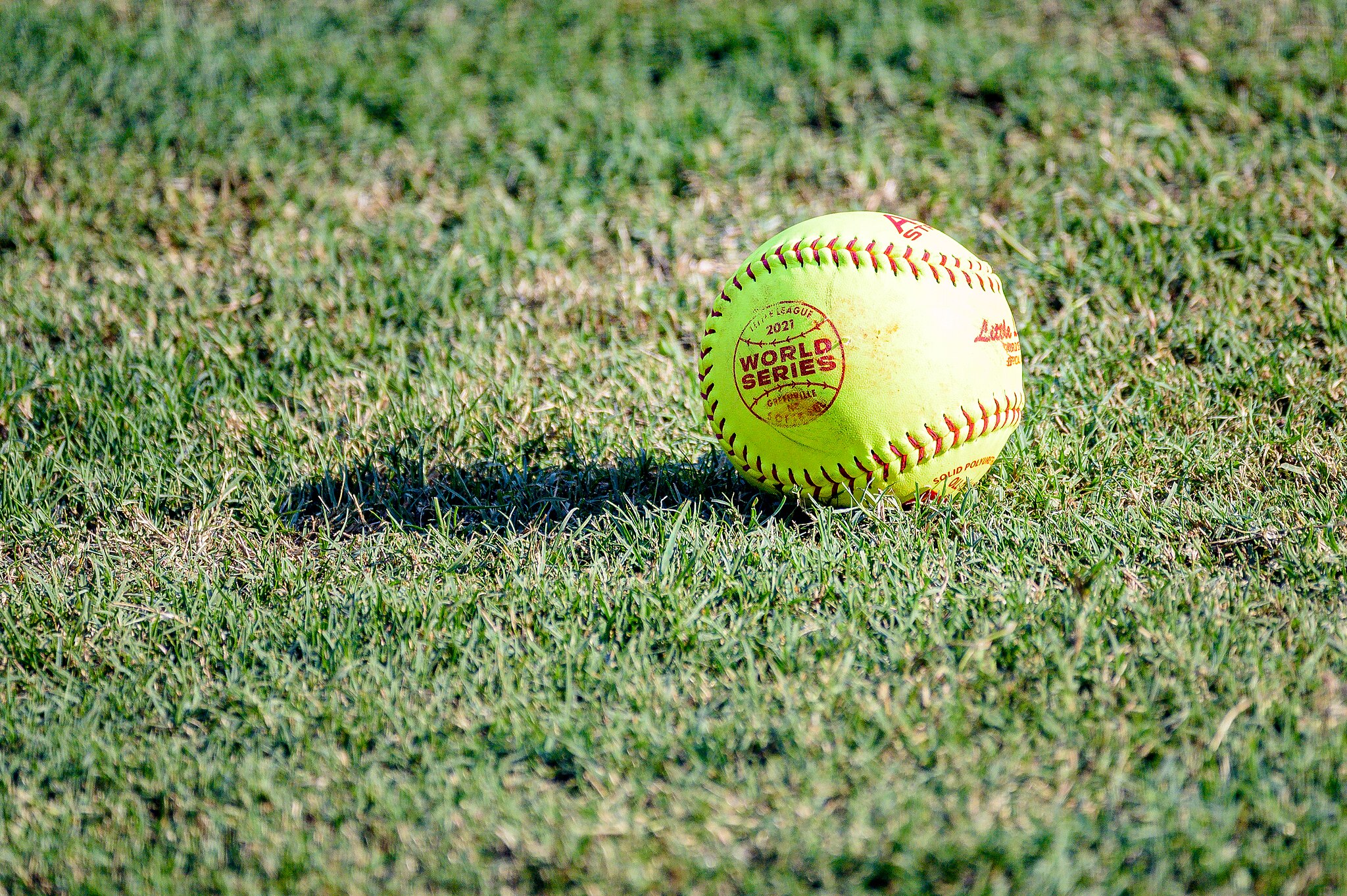 Pellissippi Softball: Looking To The Future