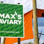 Green sign for Max's aviary in front of the orange draped fencing.