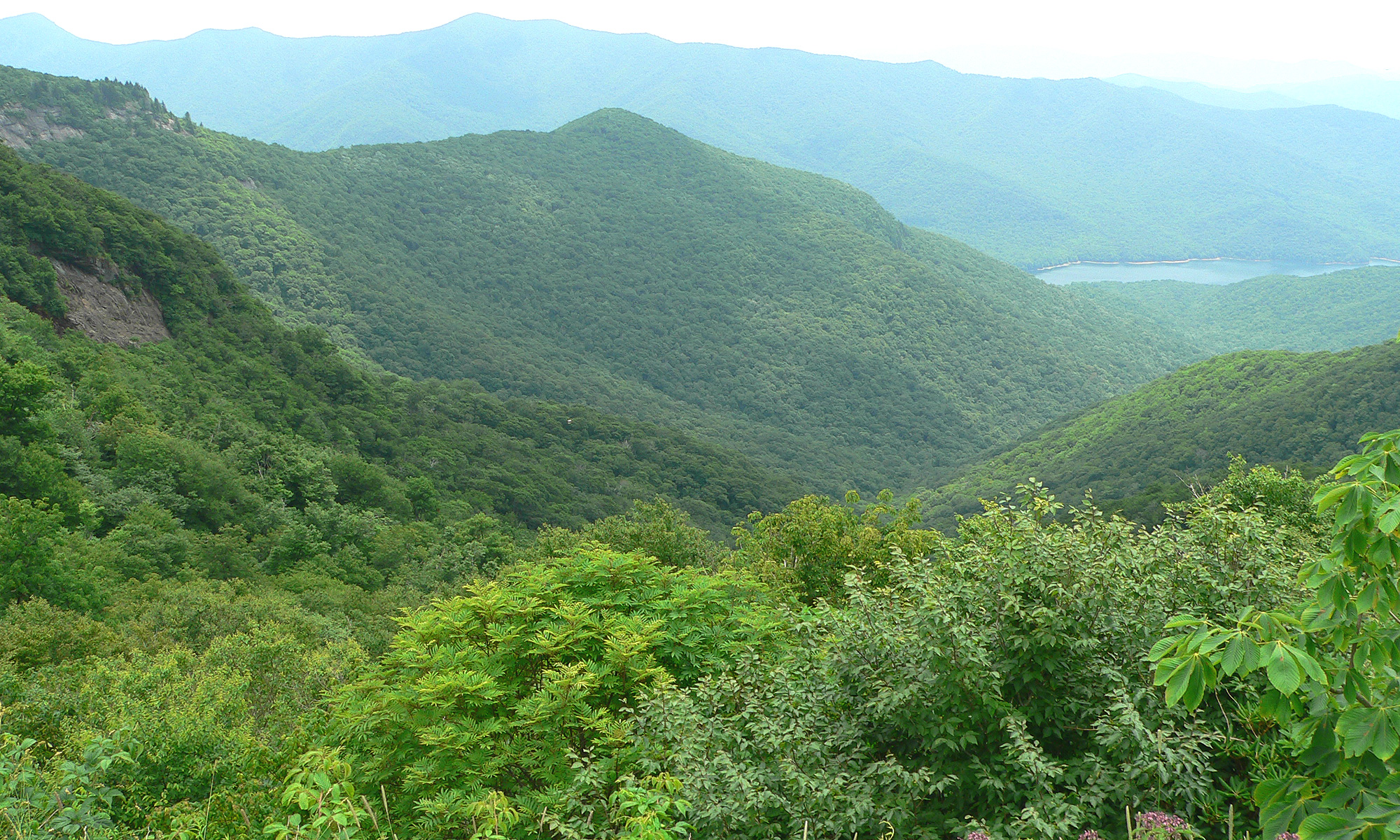 Why do I Receive Judgment for Being Appalachian?