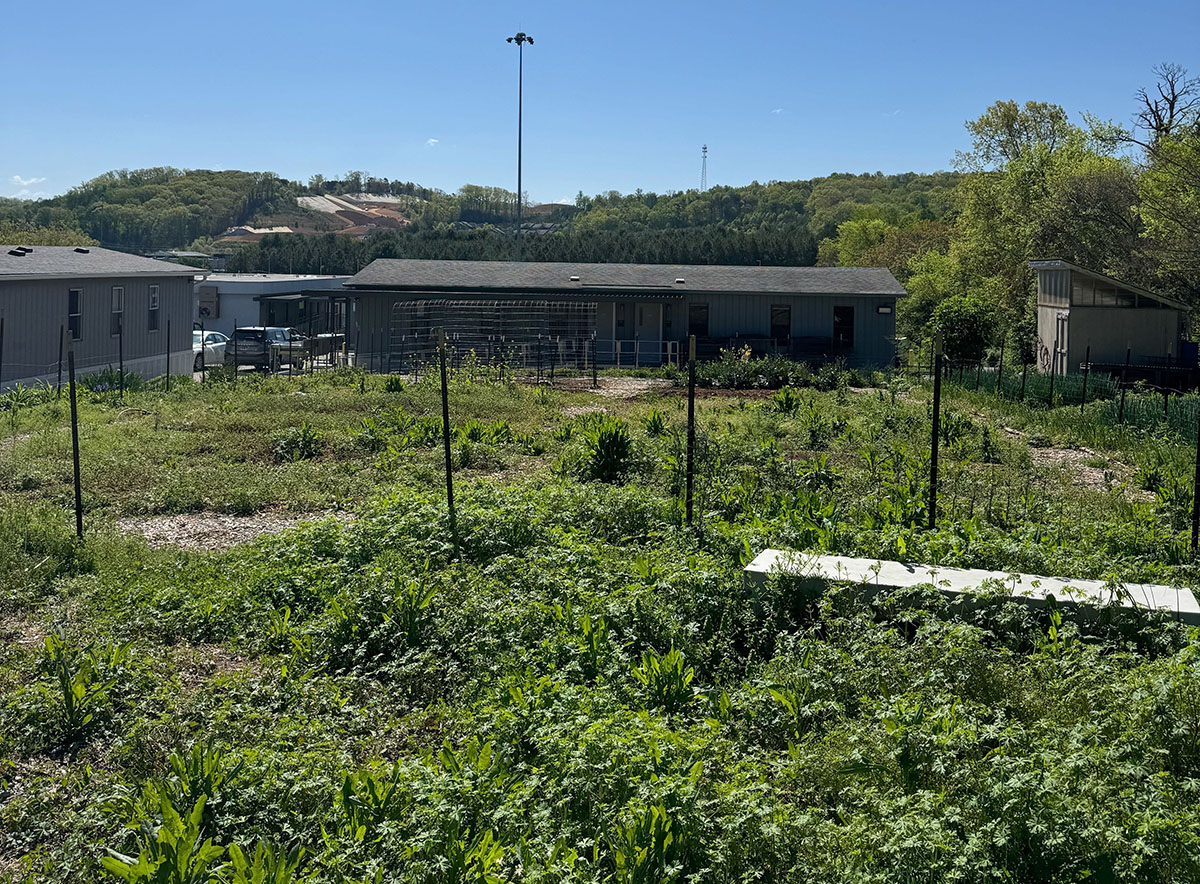 Building Community & Change at Community Gardens