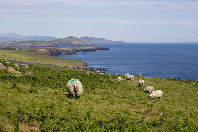 Ireland3