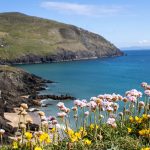 Ireland8