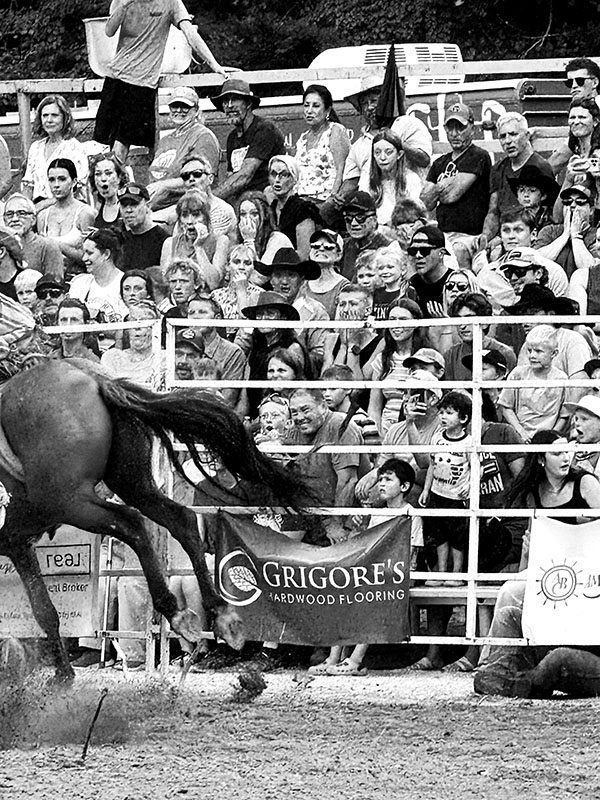 A horse is slightly off screen while a crowd has various facial expressions