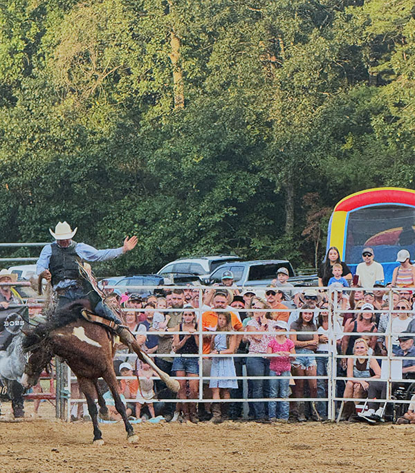 A cowboy wearing a protective vest is riding on an unruly horse, with a large crowd behind him