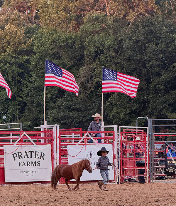 A small child with a rope, leading a pony out onto the dirt field