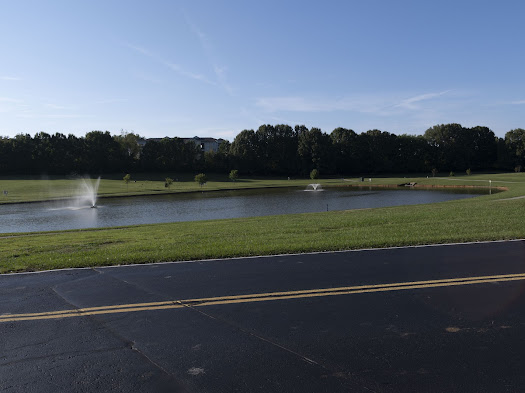 Photo of duck pond from parking lot