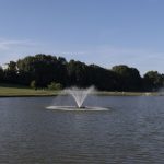 Fountains in the duck pond