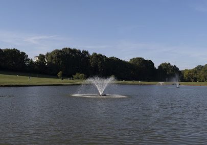 The Hardin Valley Duck Pond: A Photo Essay