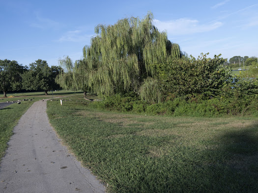 walkway around the duck pond