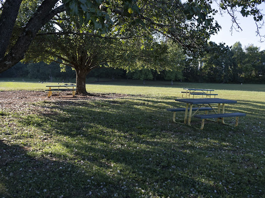 Picnic tables by duck pond
