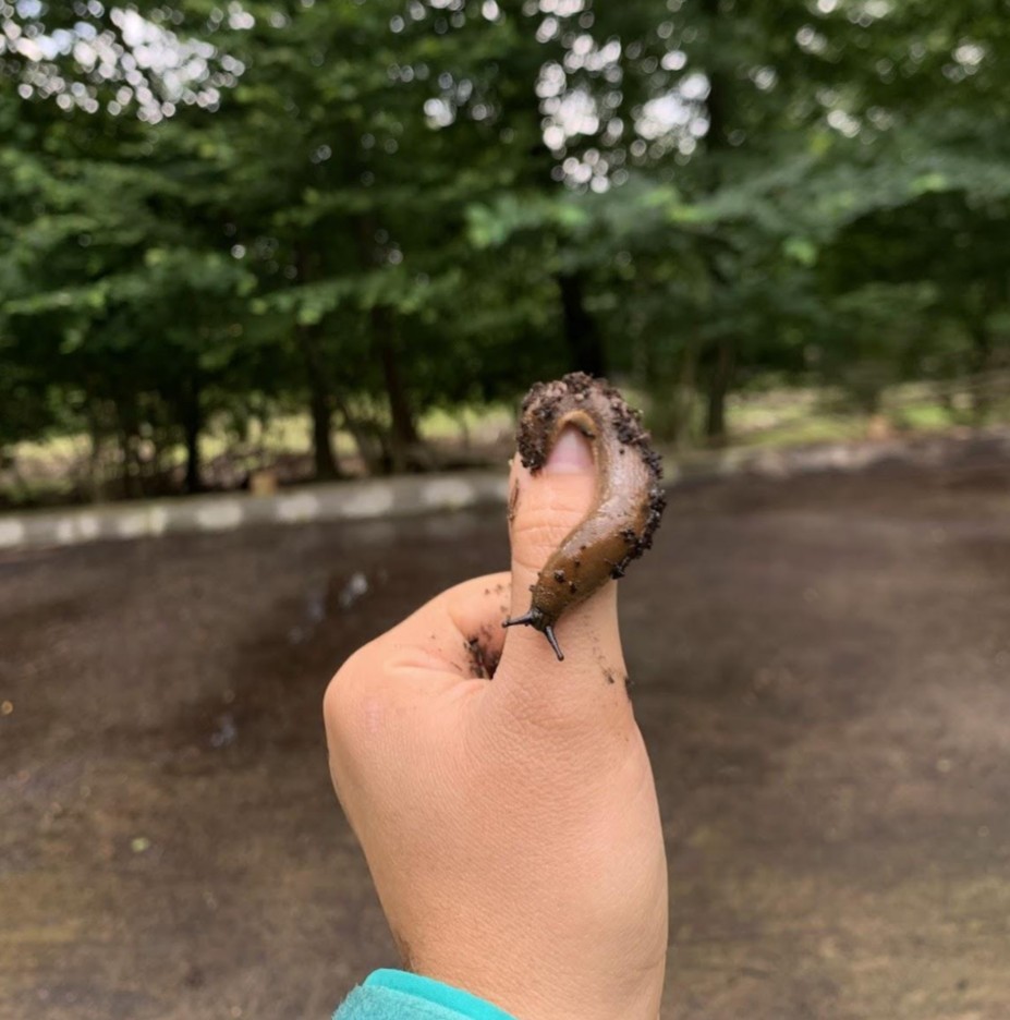A thumb with a brown slug wrapped around it.
