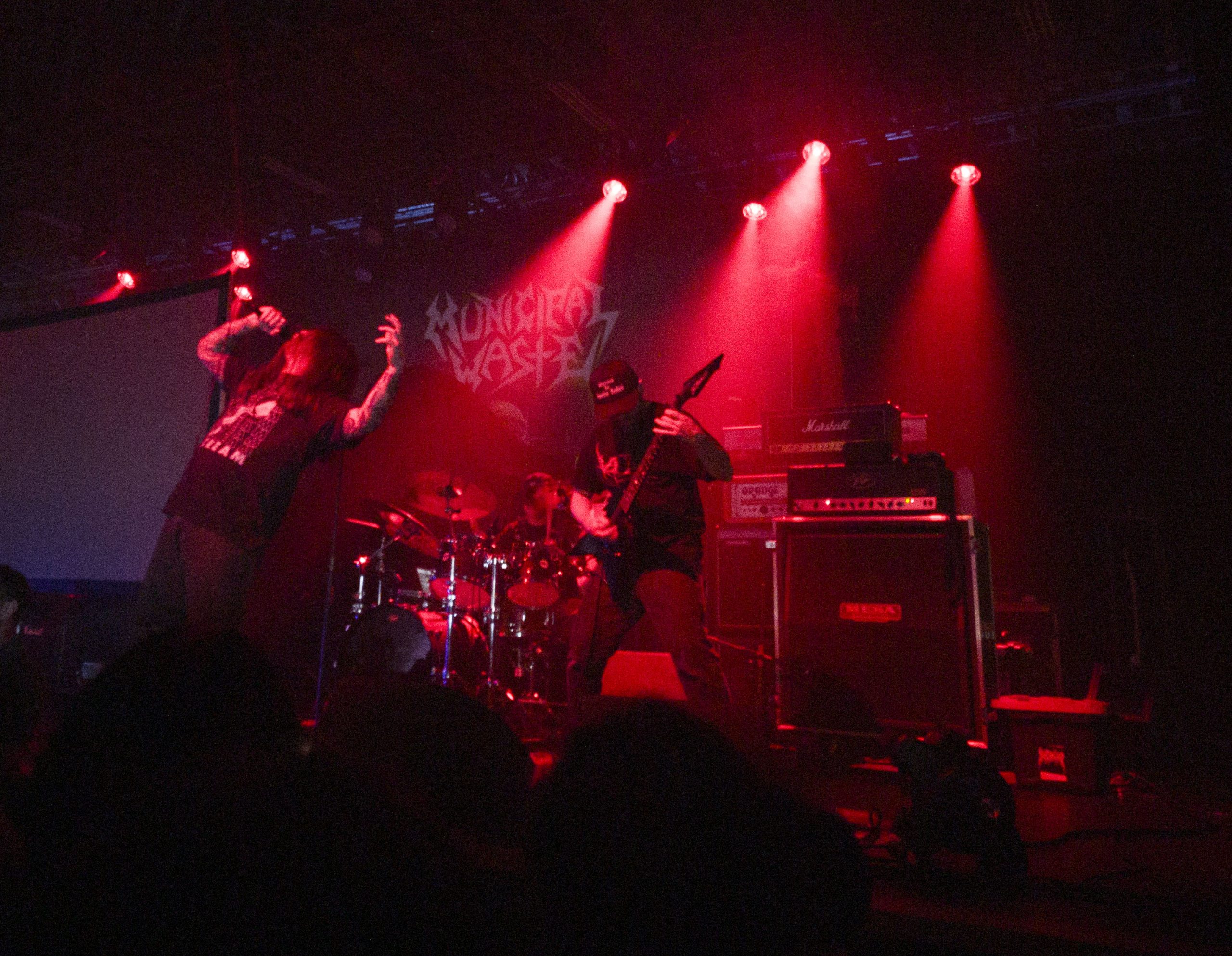 Life and Death Metal: Your Excuse to Give Extreme Metal A Try