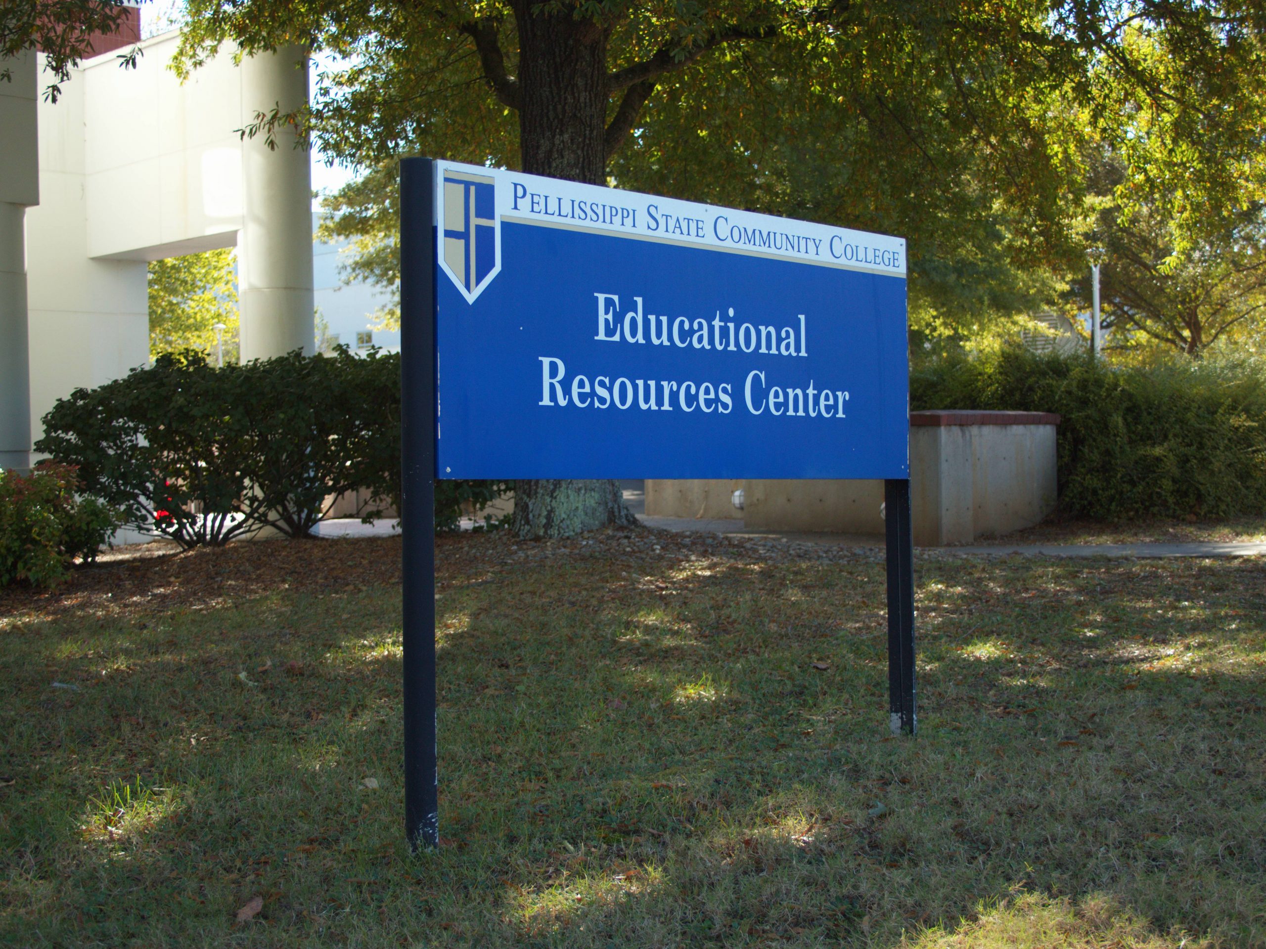 The Lowdown on the Library: Renovation, Expansion, and More