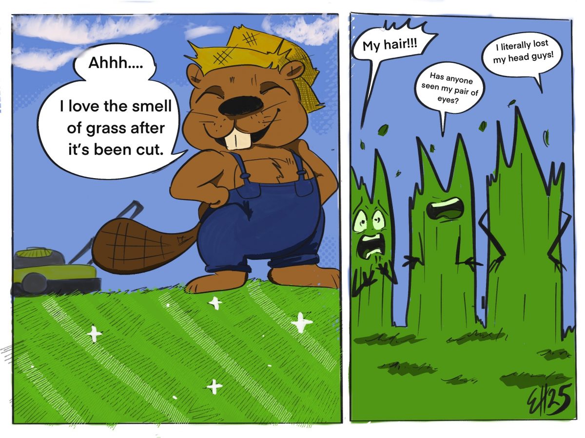 First cartoon shows a beaver saying "Ahhh...I love the smell of grass after it's been cut." Second panel shows grass blades shouting, "My hair!!!" "Has anyone seen my pair of eyes?" and "I literally lost my head guys!"