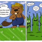 First cartoon shows a beaver saying "Ahhh...I love the smell of grass after it's been cut." Second panel shows grass blades shouting, "My hair!!!" "Has anyone seen my pair of eyes?" and "I literally lost my head guys!"
