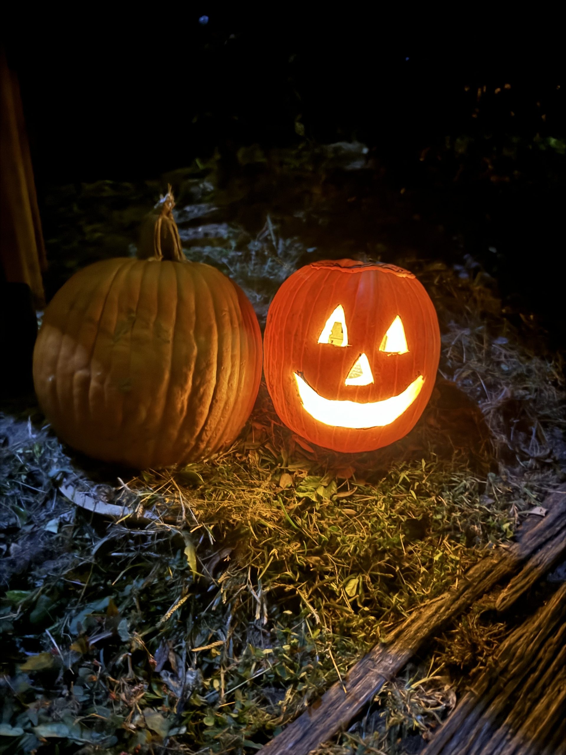 How Pumpkins Haunt the Earth