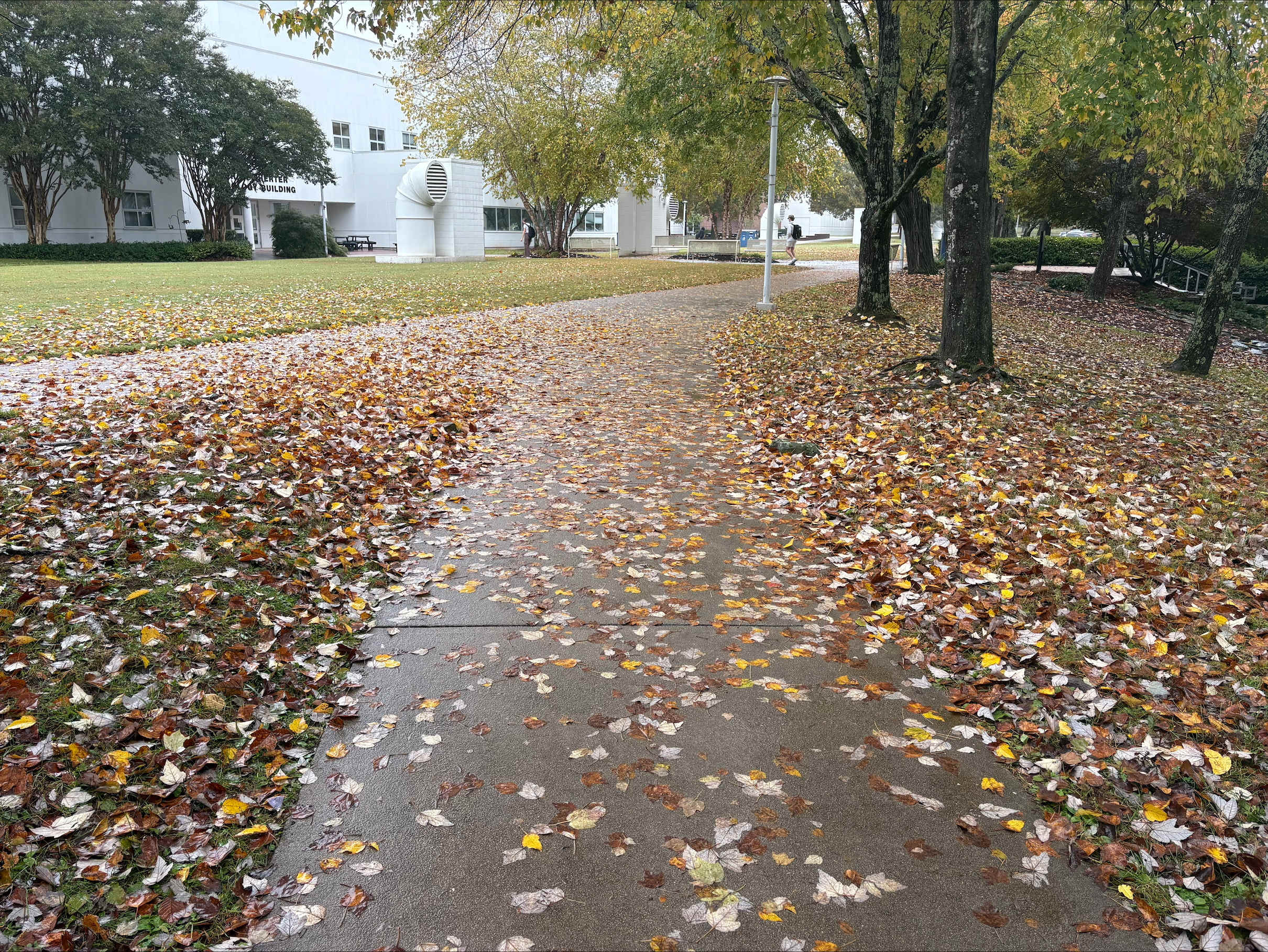 A Thursday in October