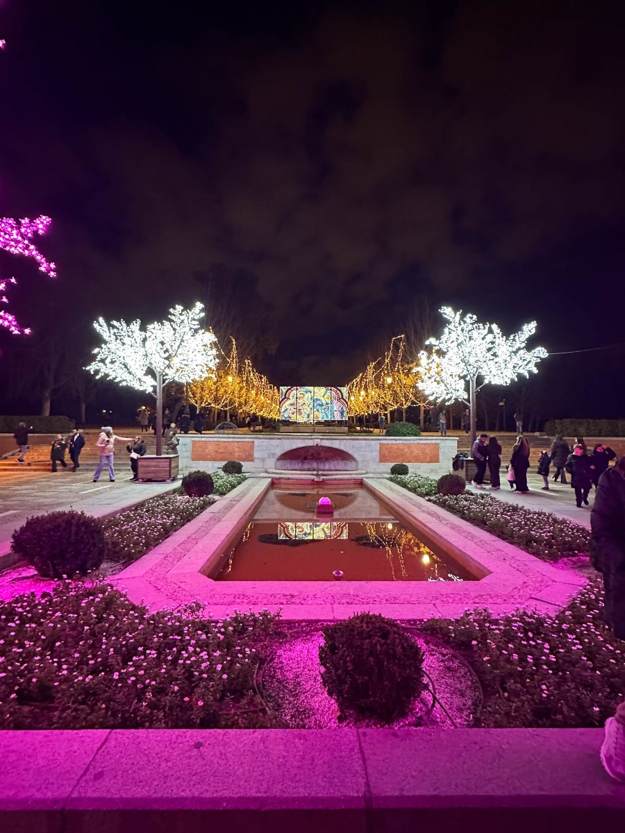 A small pond lined with trees that are decorated with lights