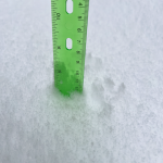 A pile of snow with a green ruler standing upright in it to measure the depth.