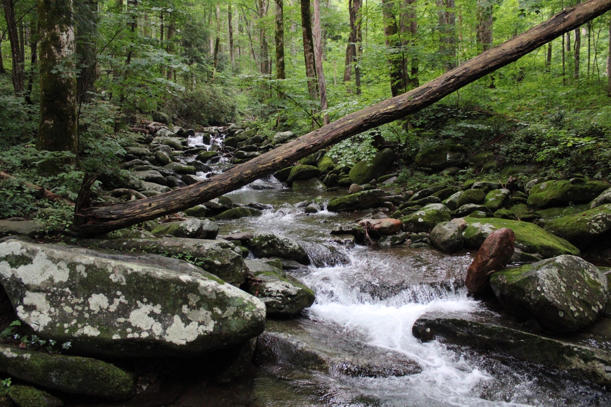 New Year, New Hobbies