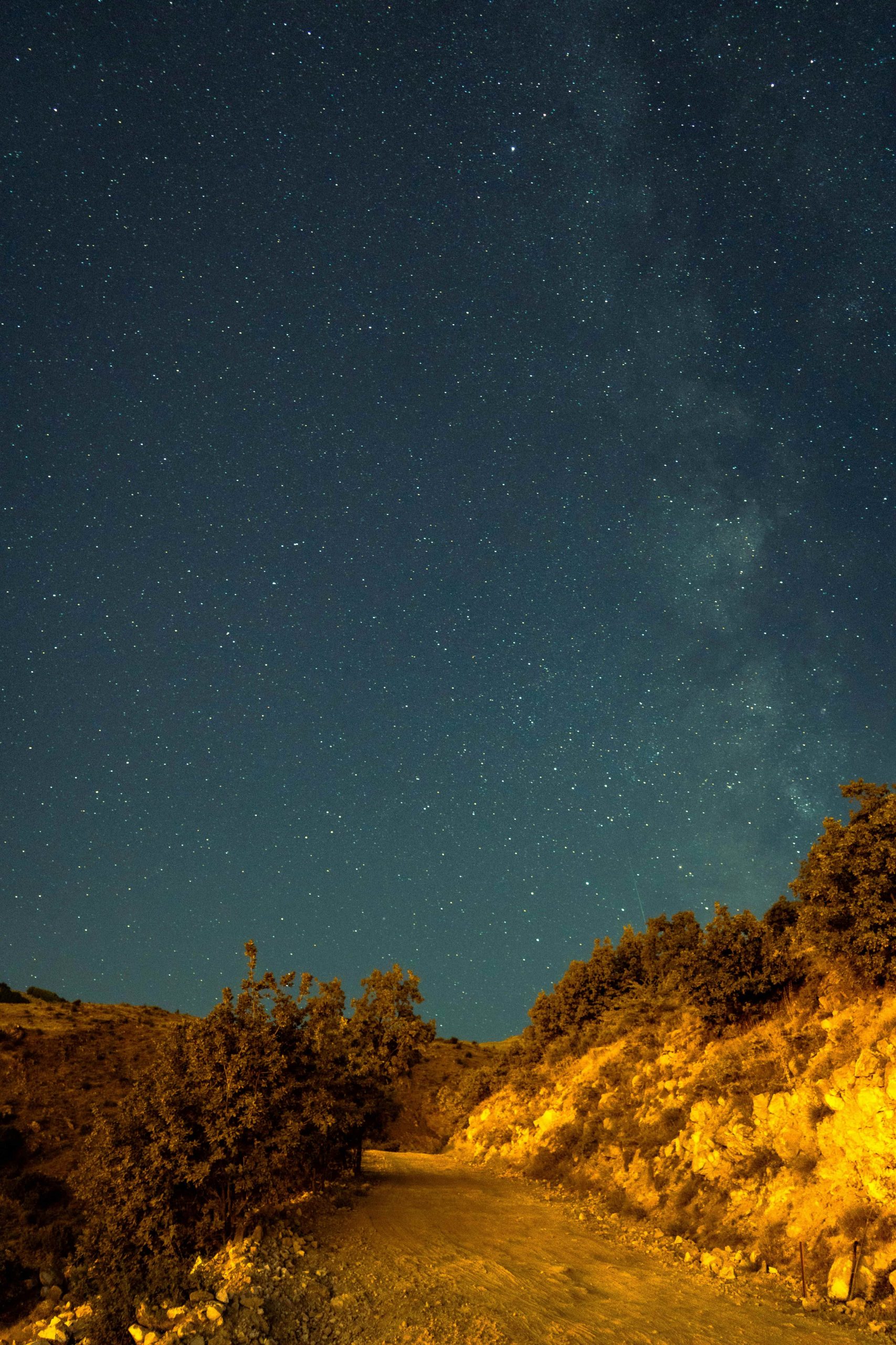 A dirt road surrounded by trees and rocks. The sky is dark and starry.