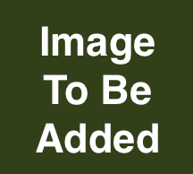 Image To Be Added
