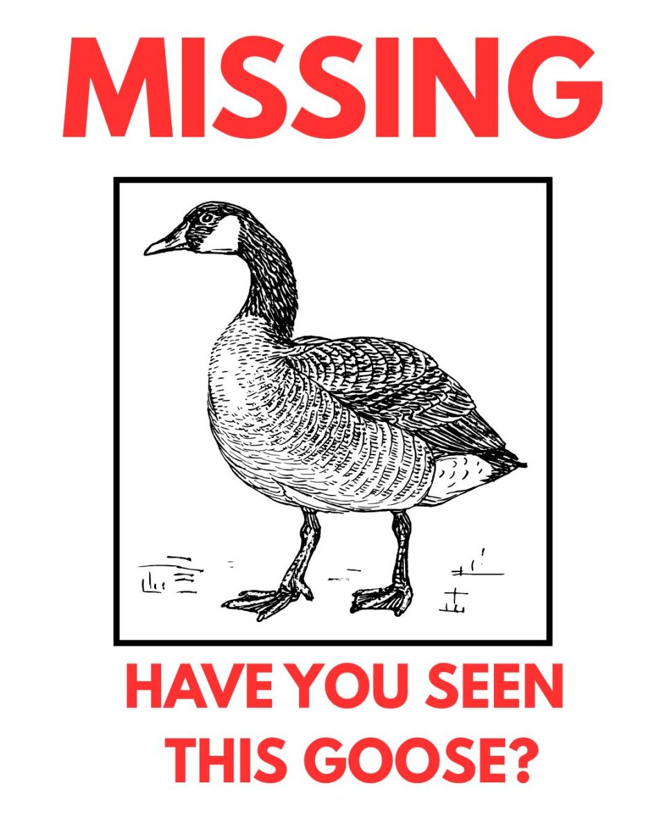 "MISSING" "HAVE YOU SEEN THIS GOOSE"