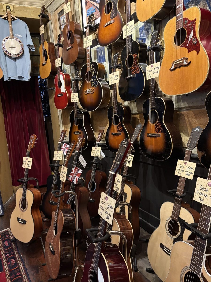 In a guitar store