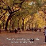 The scenery of New York in the fall with people walking in the park