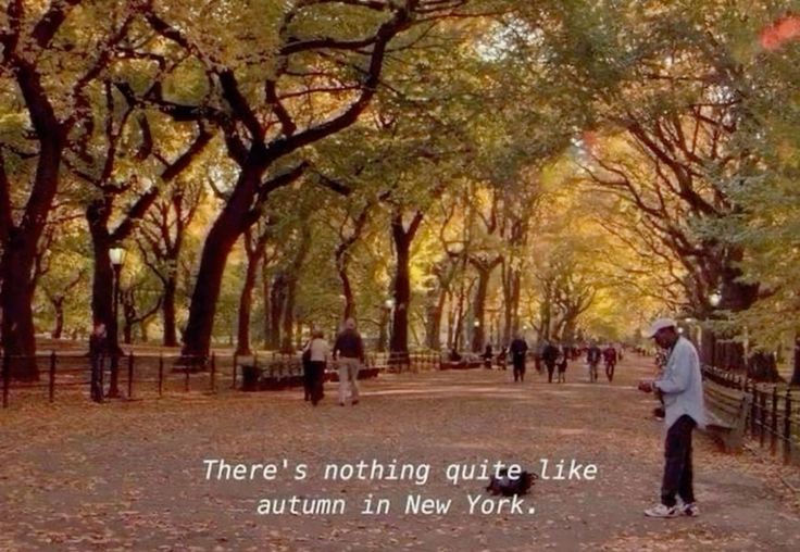 The scenery of New York in the fall with people walking in the park