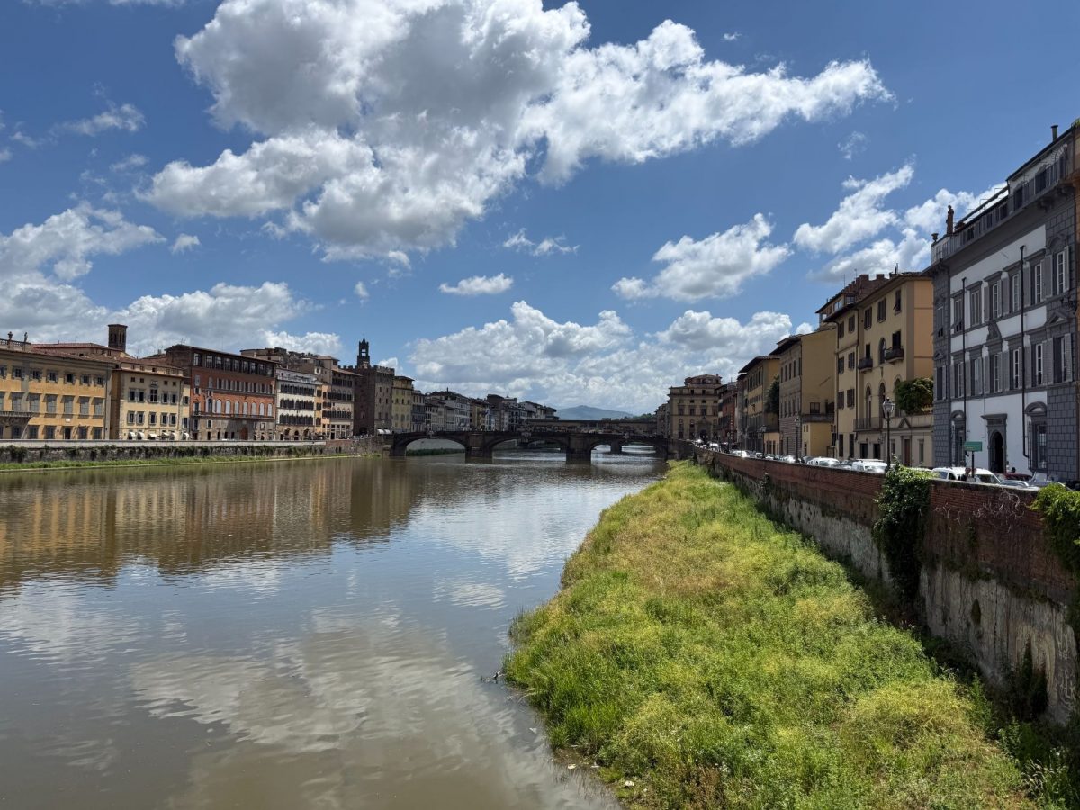 The bridges of Florence