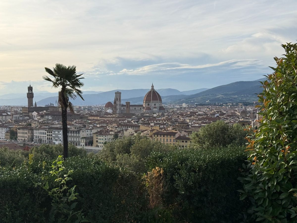 View of Florence from hike