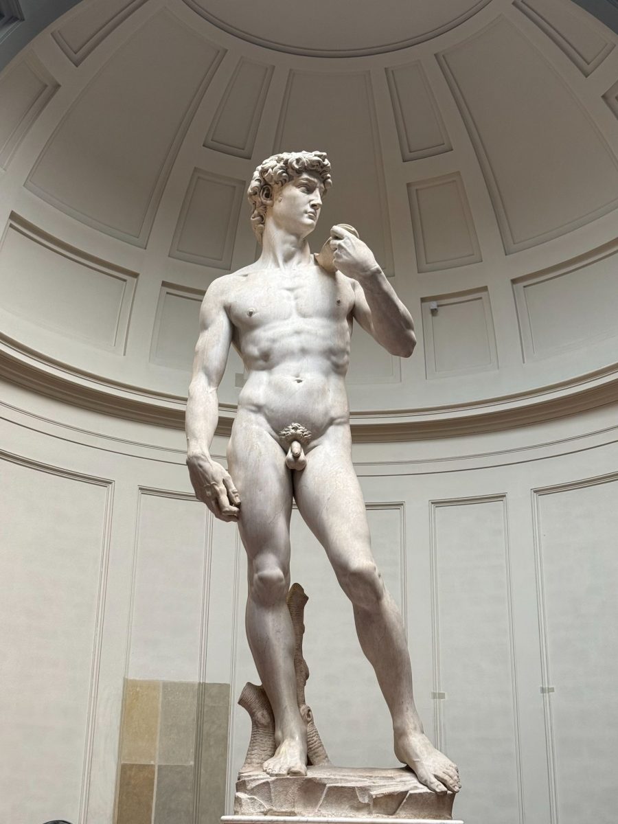 David statue in the Galleria dell’Accademia