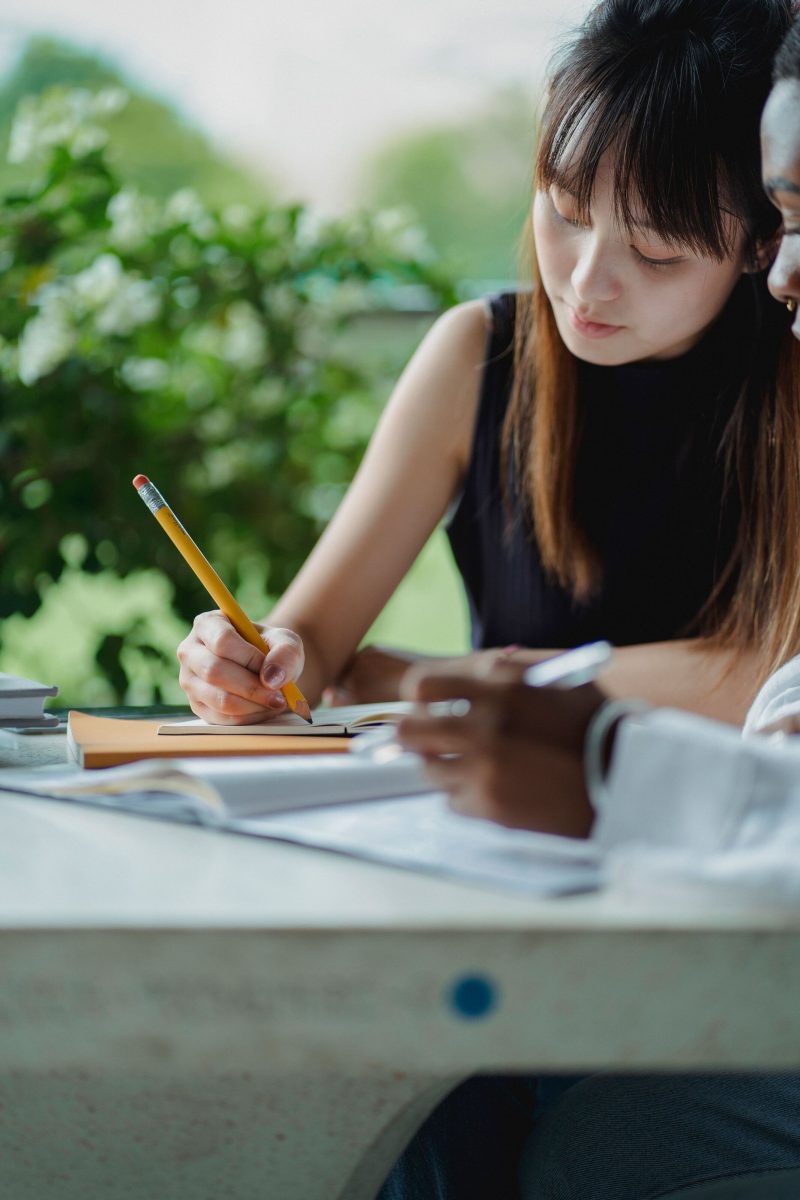 A woman with a pencil in her hand, writing in a notebook