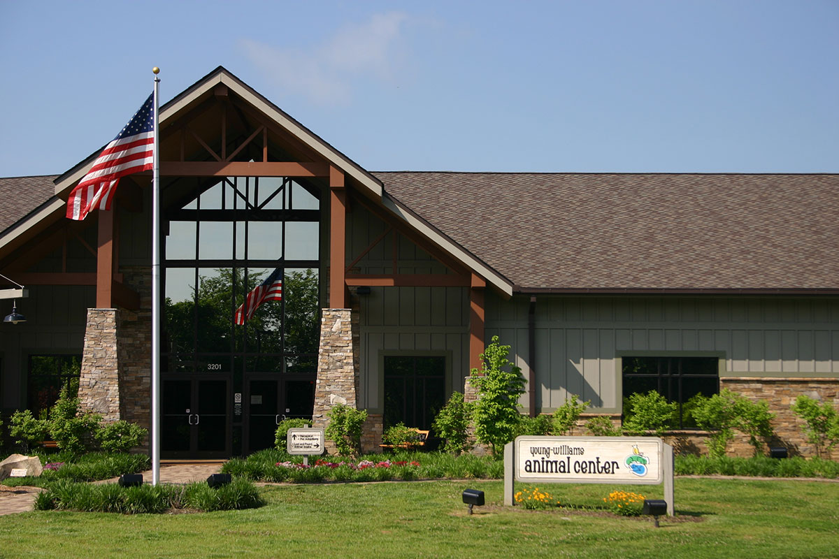 sign outside building reads "young-williams animal center"