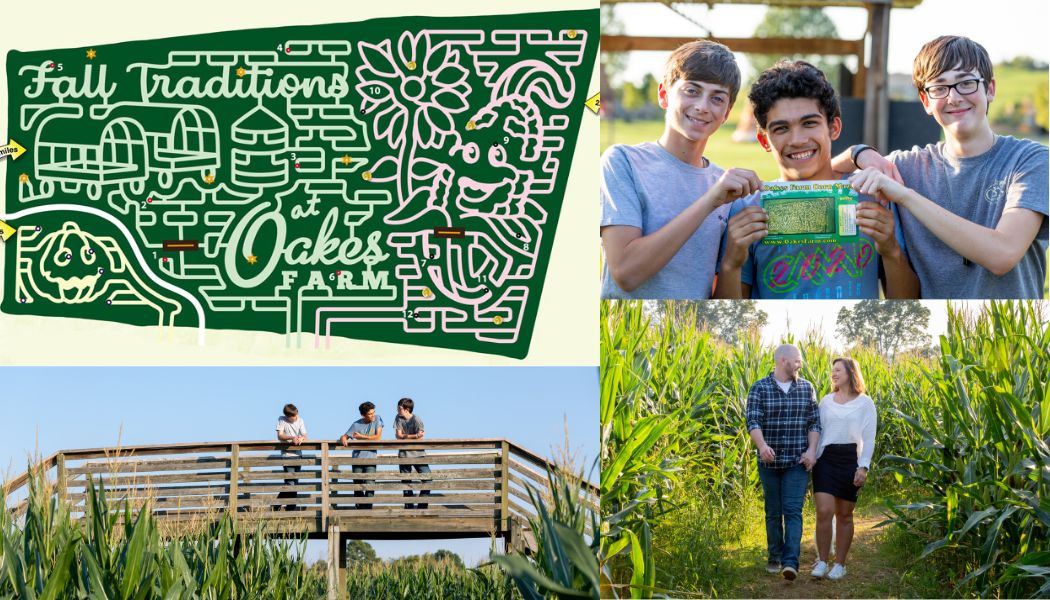 The words outlined in the map of the corn maze: "Fall Traditions" "at Oakes Farm"