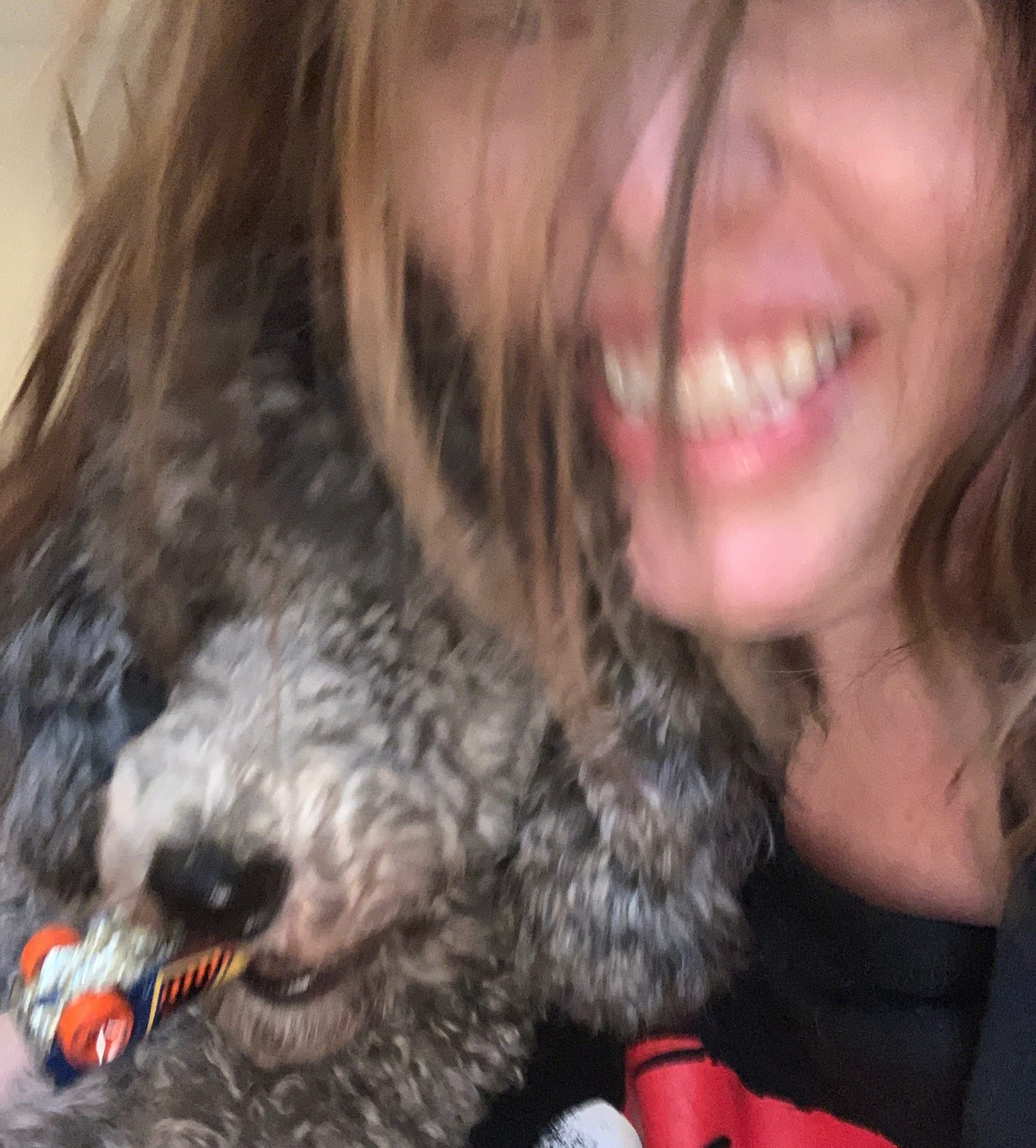 Photo of a poodle puppy and blurred image of a woman who is smiling.